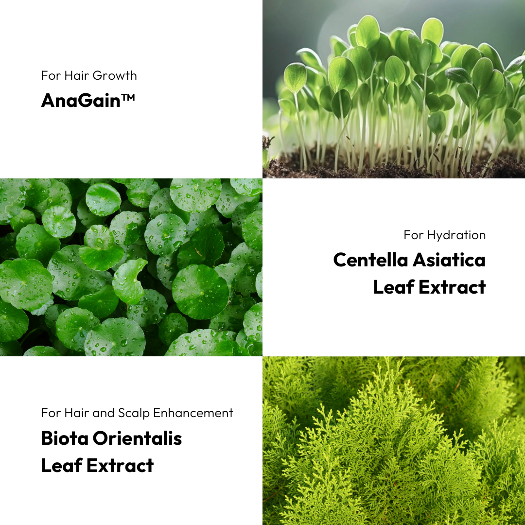 Plant essential oil hair growth liquid