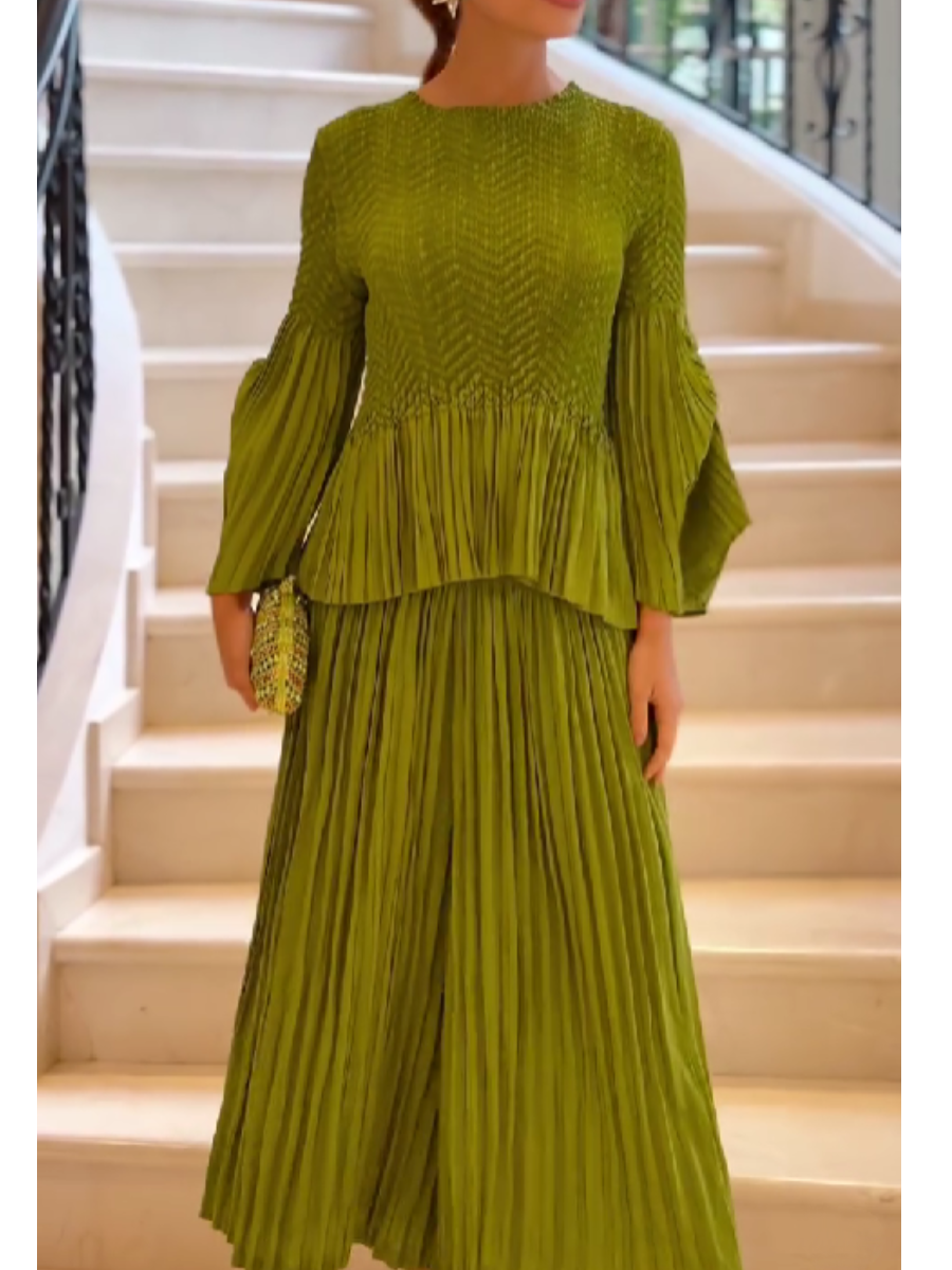 Pleated Stretchy Fabric Pants Set